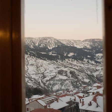 Asteri Metsovou Hotel Екстериор снимка