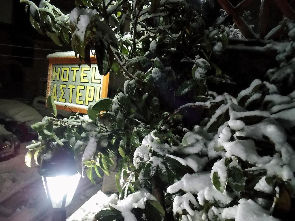 Asteri Metsovou Hotel Екстериор снимка