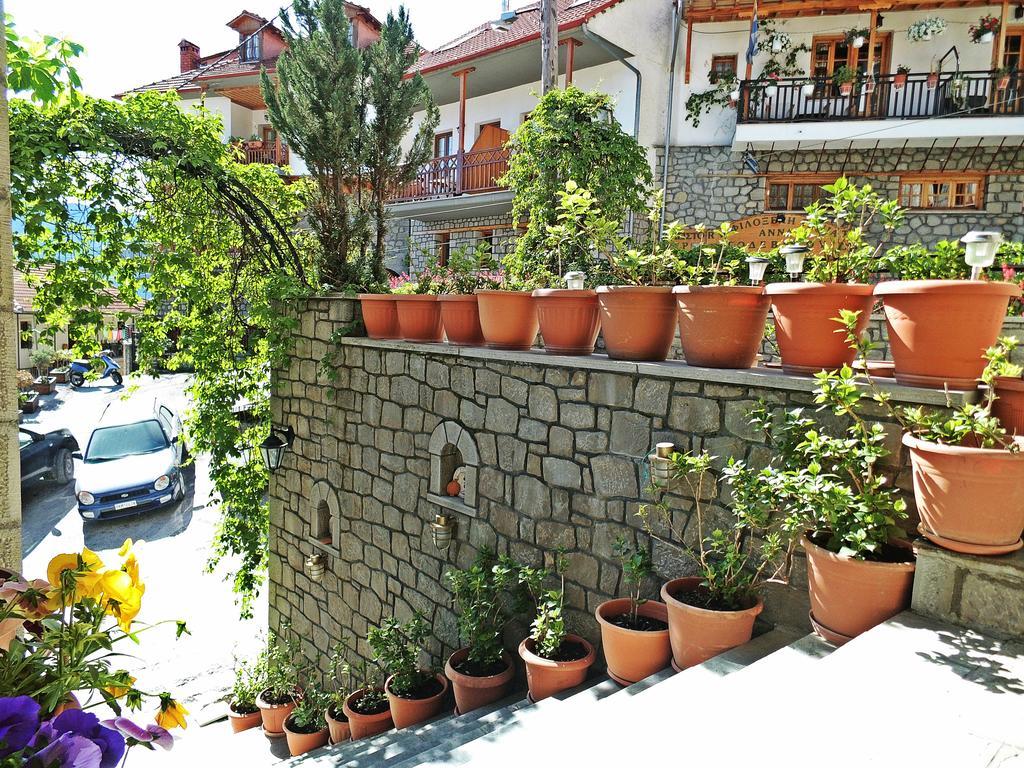 Asteri Metsovou Hotel Екстериор снимка