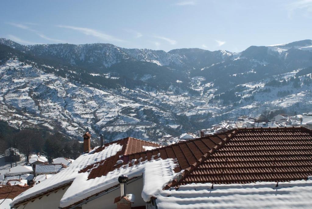 Asteri Metsovou Hotel Екстериор снимка