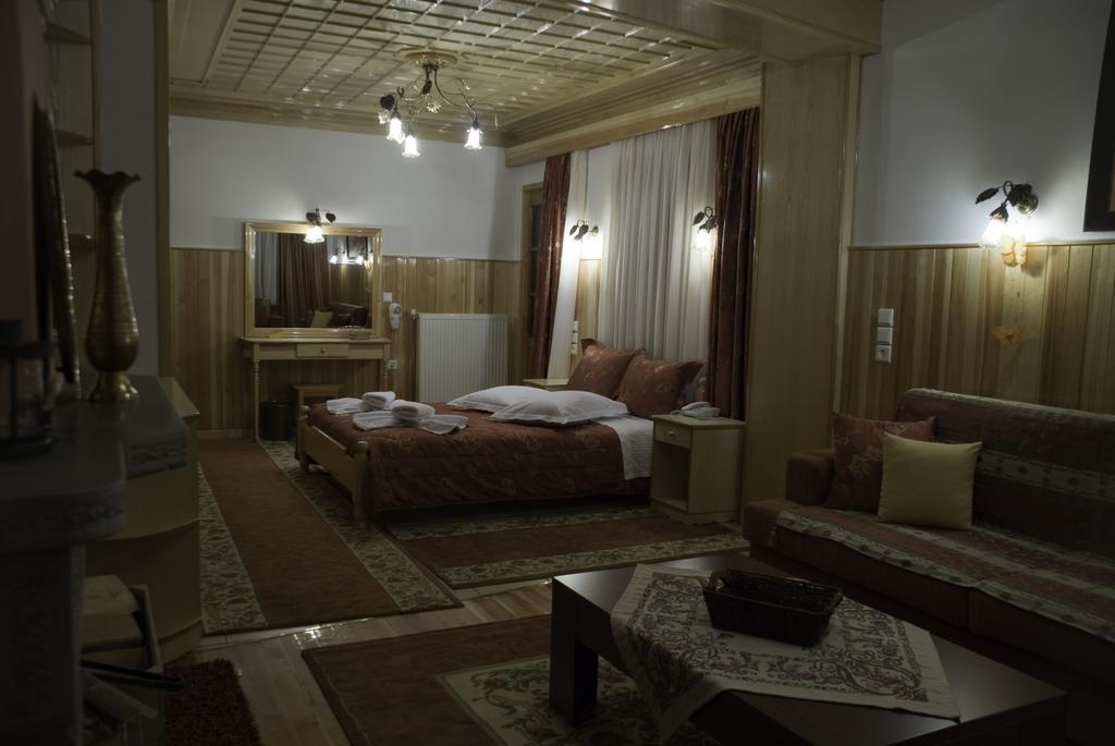 Asteri Metsovou Hotel Екстериор снимка
