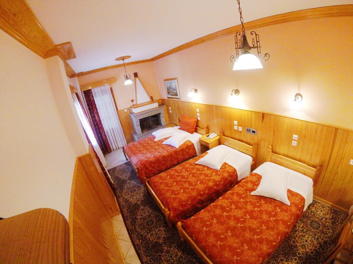 Asteri Metsovou Hotel Екстериор снимка