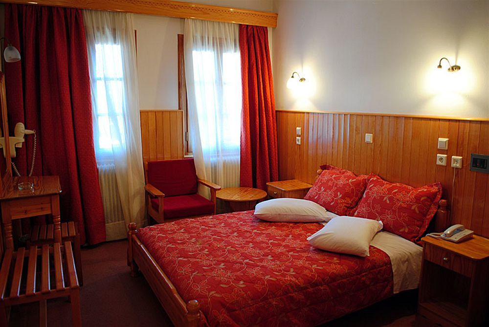 Asteri Metsovou Hotel Екстериор снимка