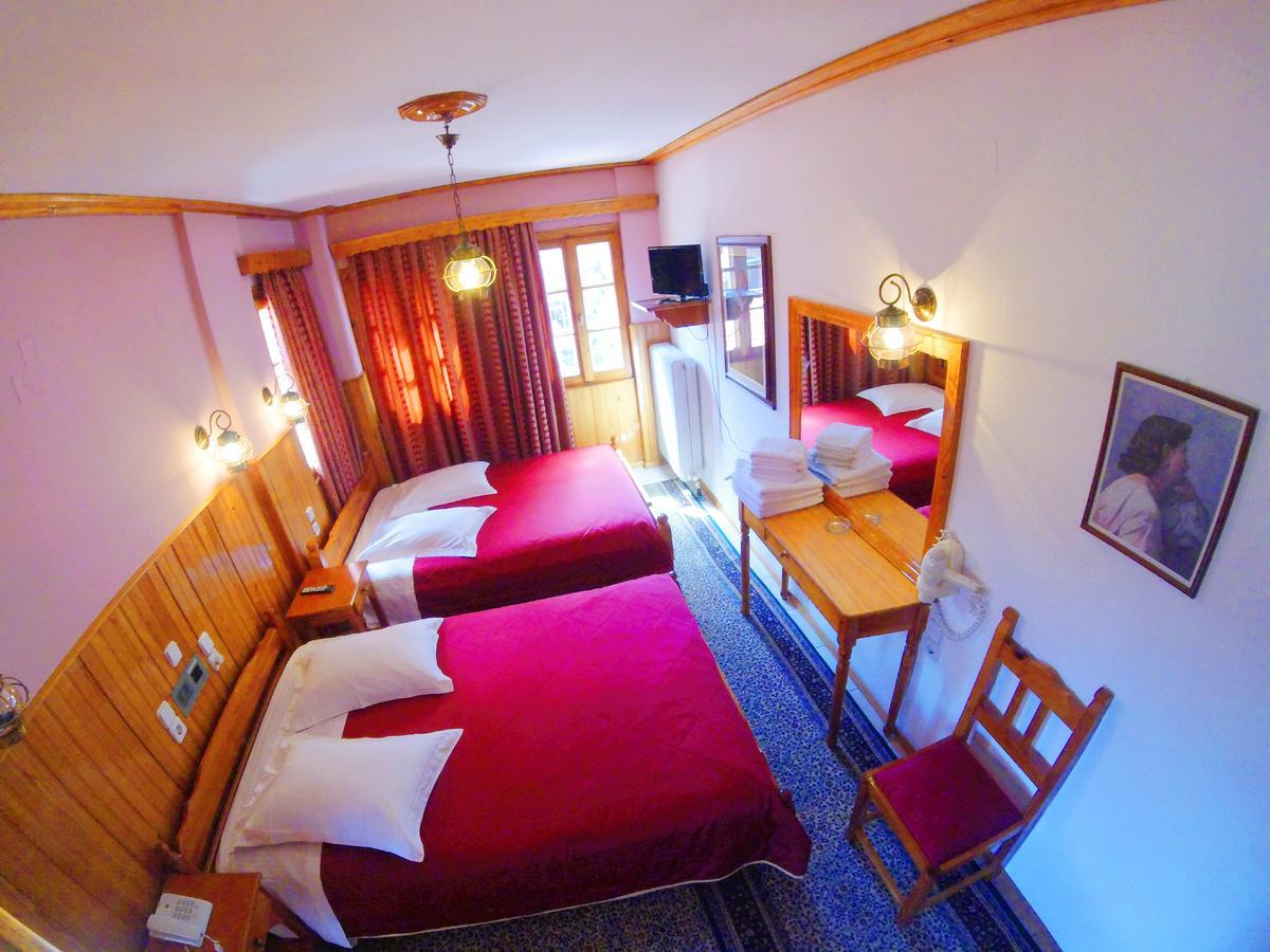 Asteri Metsovou Hotel Екстериор снимка