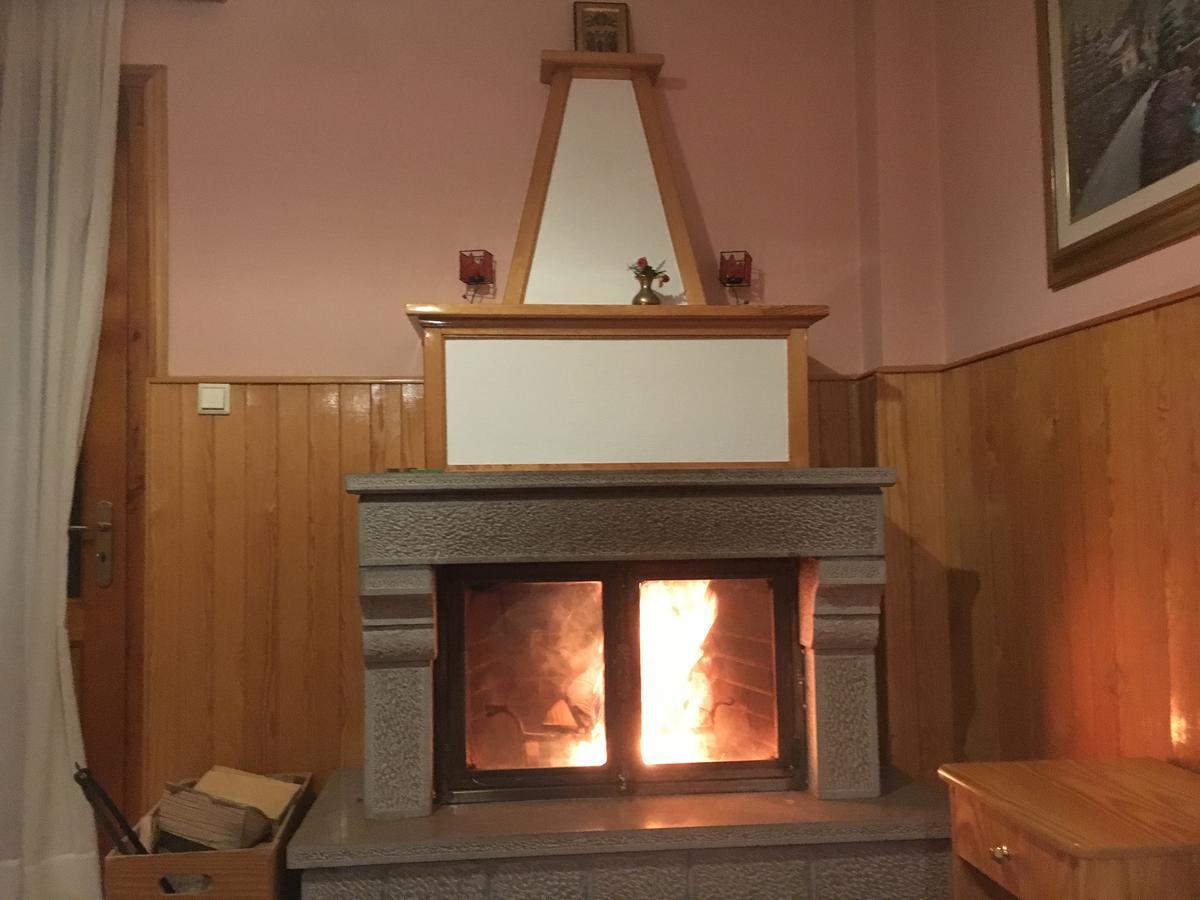 Asteri Metsovou Hotel Екстериор снимка