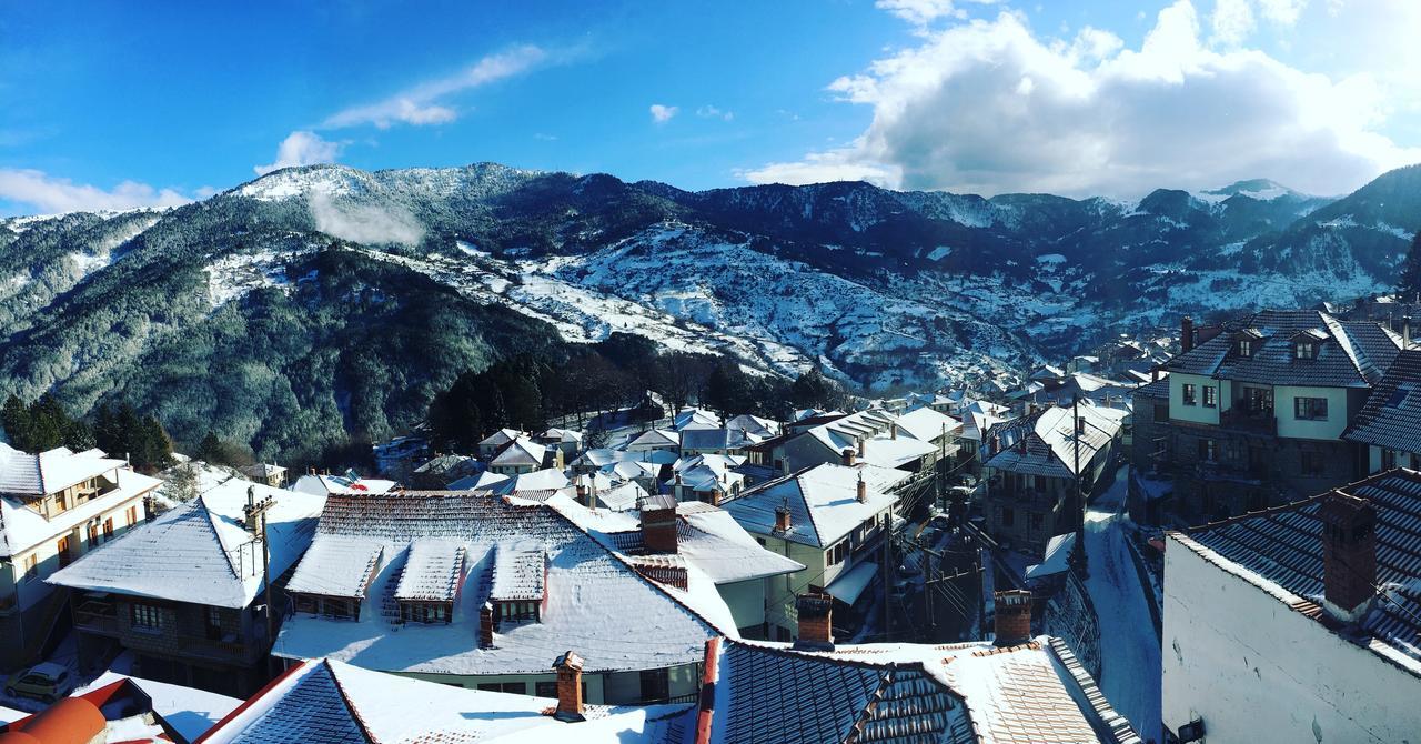 Asteri Metsovou Hotel Екстериор снимка