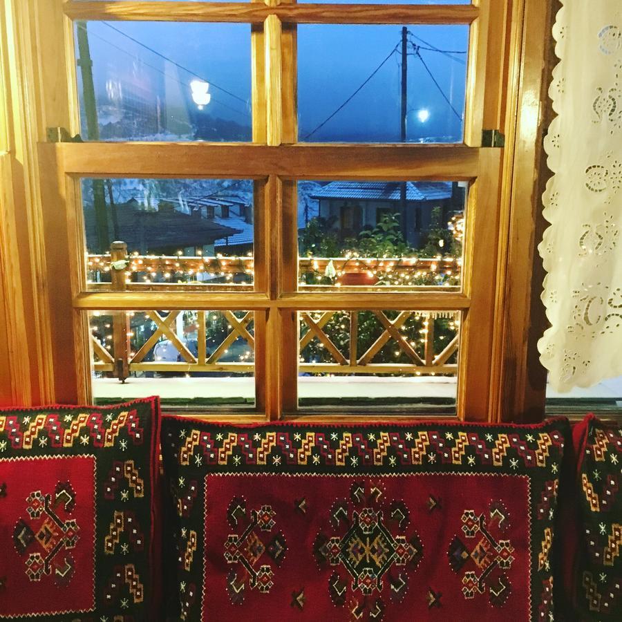 Asteri Metsovou Hotel Екстериор снимка