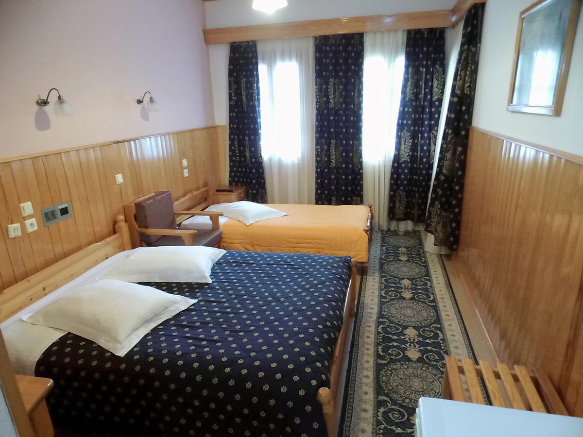 Asteri Metsovou Hotel Стая снимка