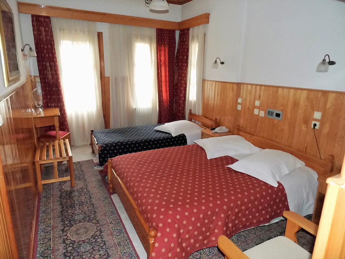 Asteri Metsovou Hotel Екстериор снимка