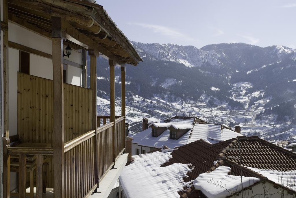 Asteri Metsovou Hotel Стая снимка