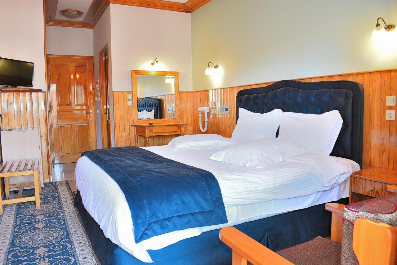 Asteri Metsovou Hotel Екстериор снимка